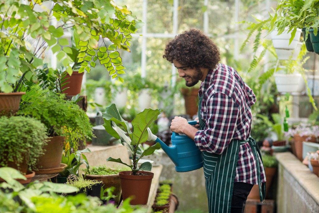 curly haired man watering his plants in his greenhouse