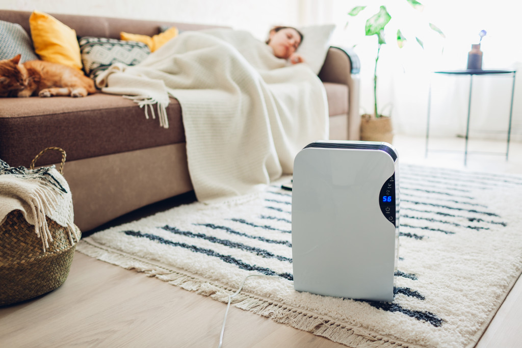 a living room with an air diffuser