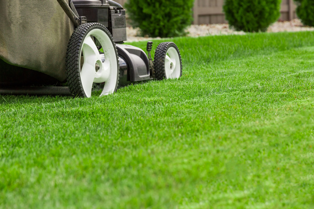 Maintaining the lawn at home