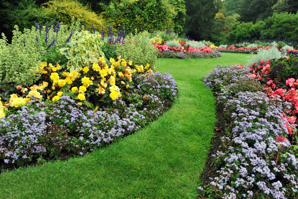 A beautiful flower garden