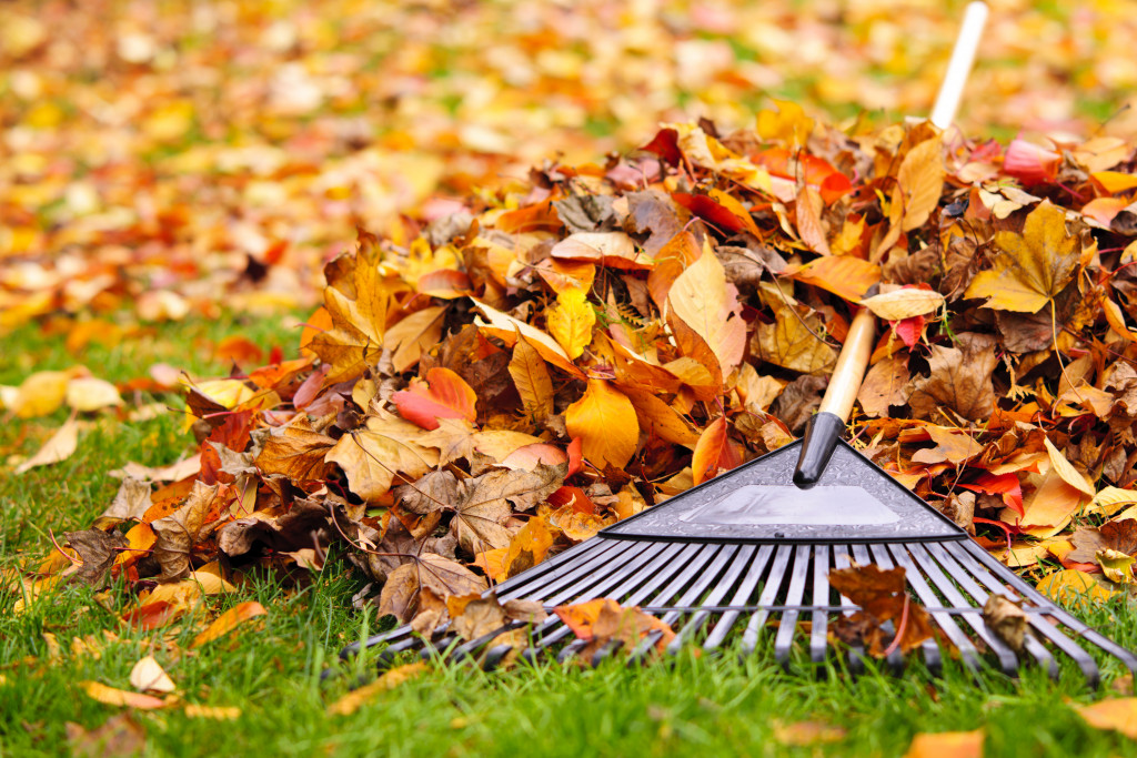 Decluttering leaves and grass